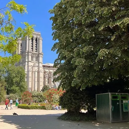 Serenity, Meditation At Notre Dame With Ac Paříž