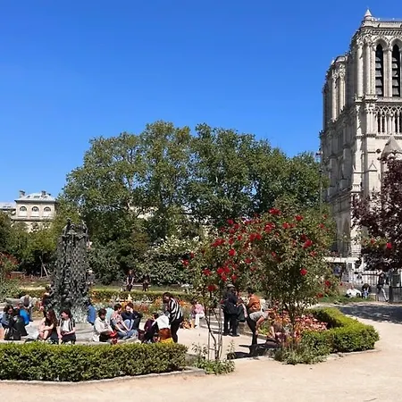 Serenity, Meditation At Notre Dame Apartment *