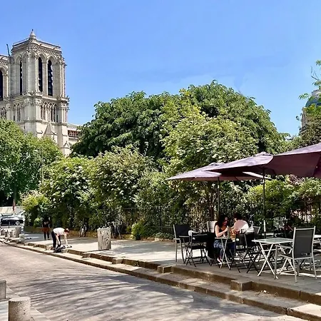 Serenity, Meditation At Notre Dame With Ac *