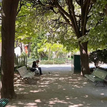 Serenity, Meditation At Notre Dame Apartment *